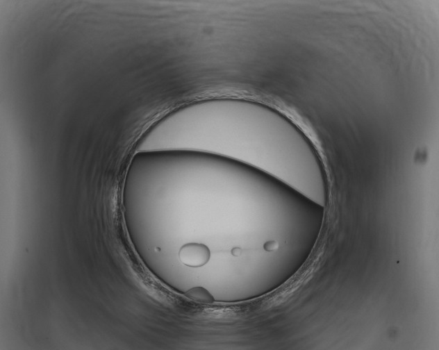 X0000097670057200802290955