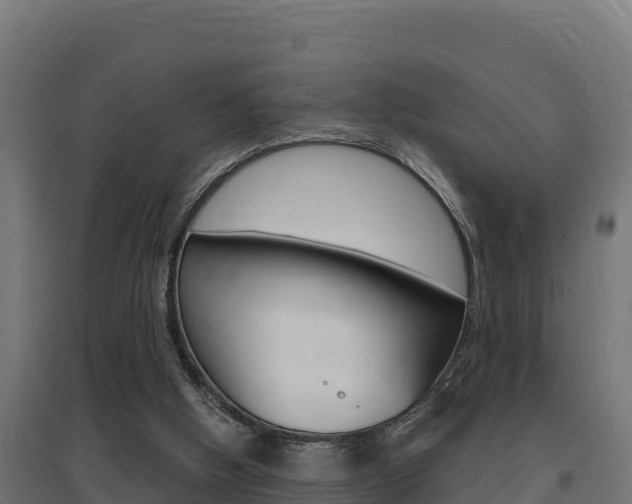 X0000097670058200802290955