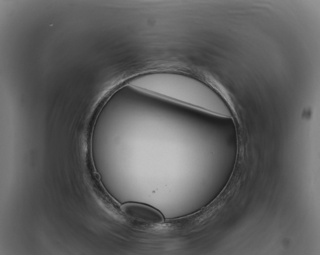 X0000097670059200802290955