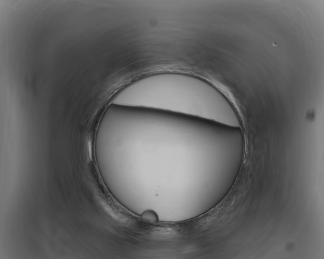 X0000097670061200802290955