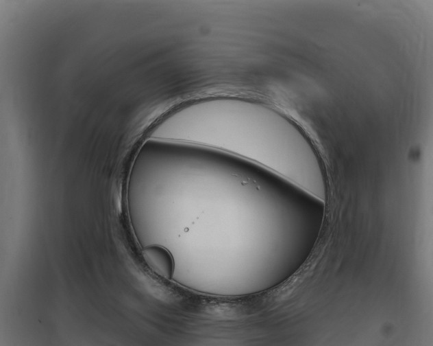 X0000097670062200802290955