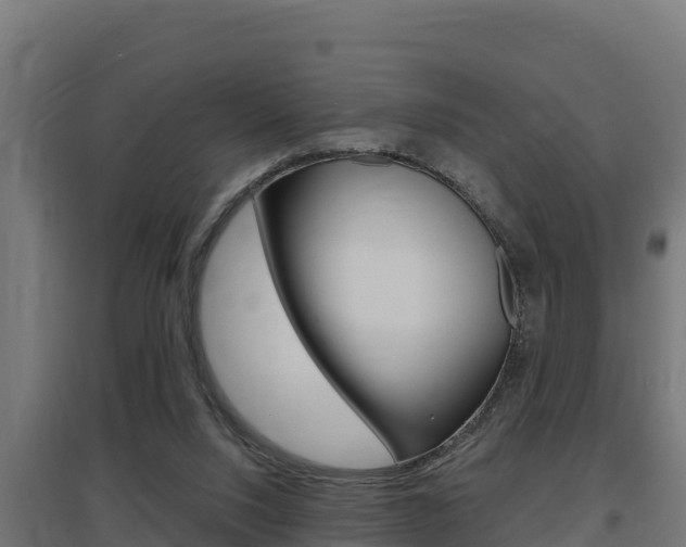 X0000097670064200802290956