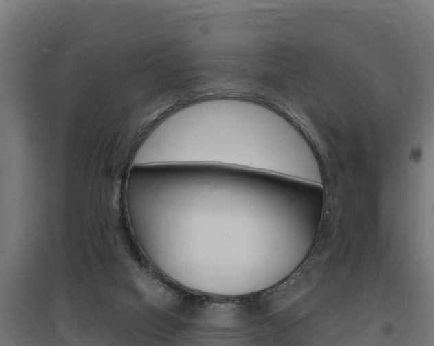 X0000097670066200802290956