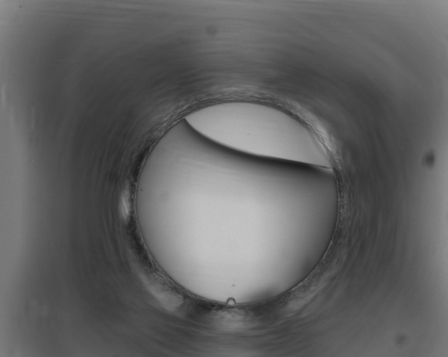 X0000097670069200802290956