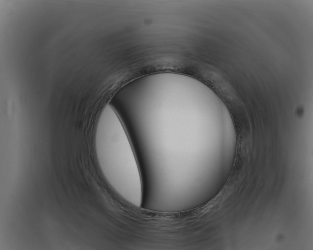 X0000097670070200802290956