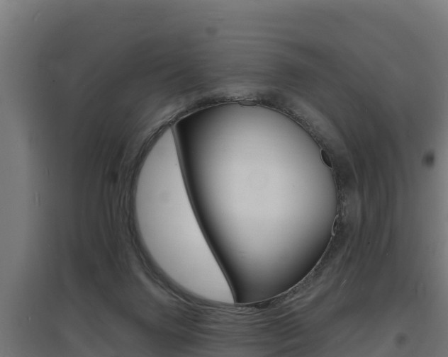 X0000097670072200802290956
