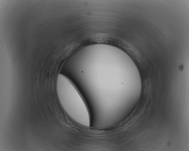X0000097670073200802290956