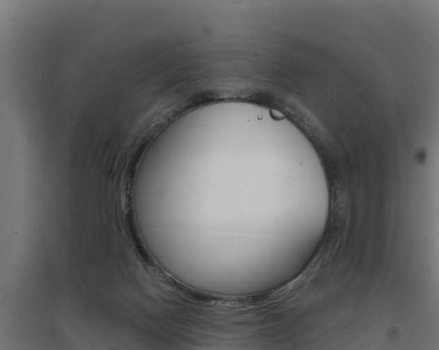 X0000097670074200802290956