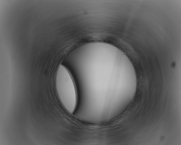 X0000097670075200802290956