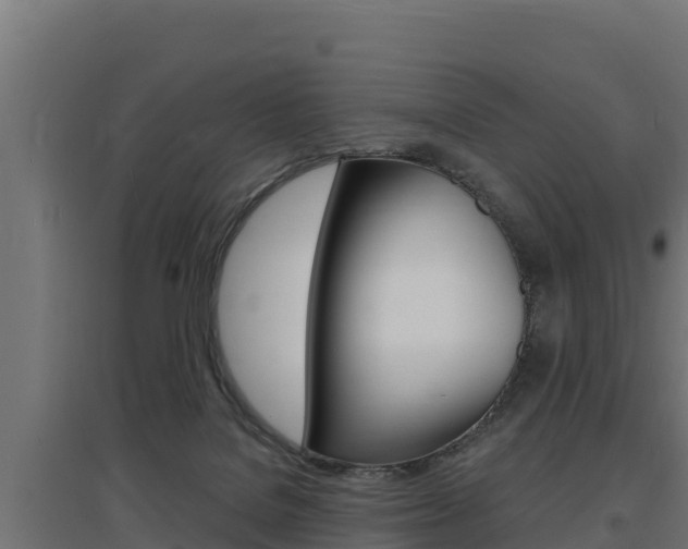 X0000097670076200802290956