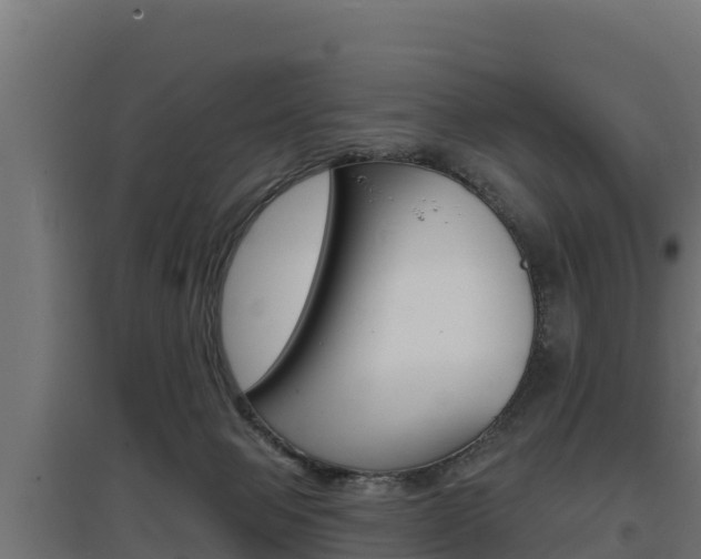 X0000097670077200802290956