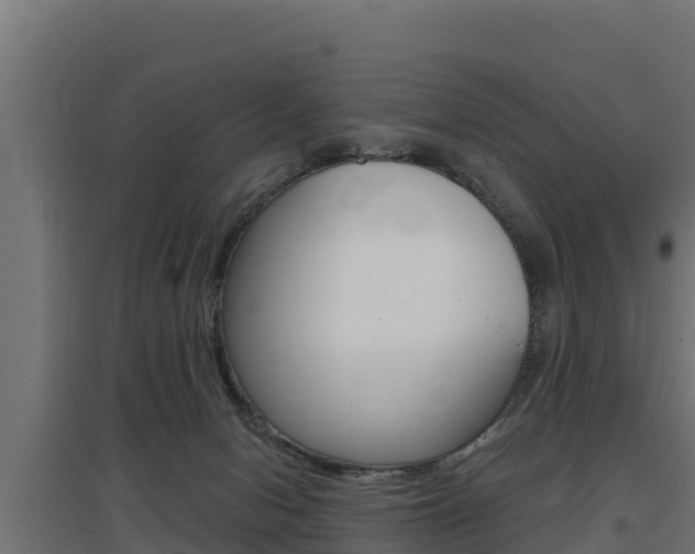 X0000097670078200802290956