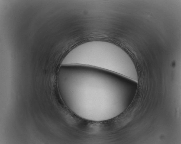 X0000097670079200802290956