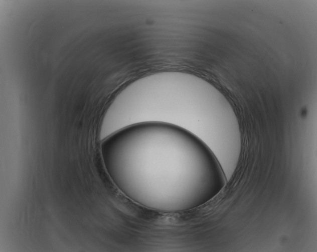 X0000097670080200802290956