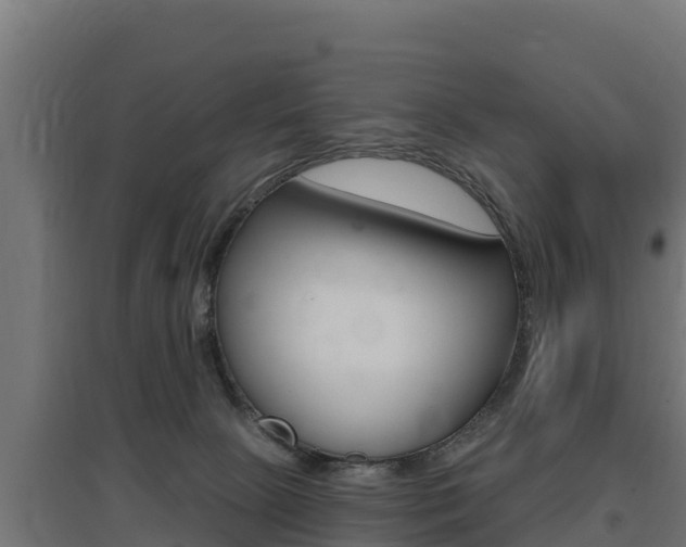 X0000097670081200802290956