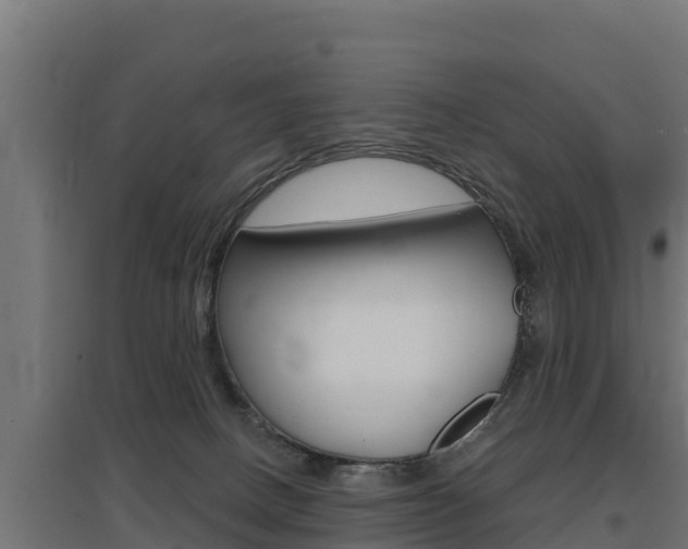X0000097670082200802290956