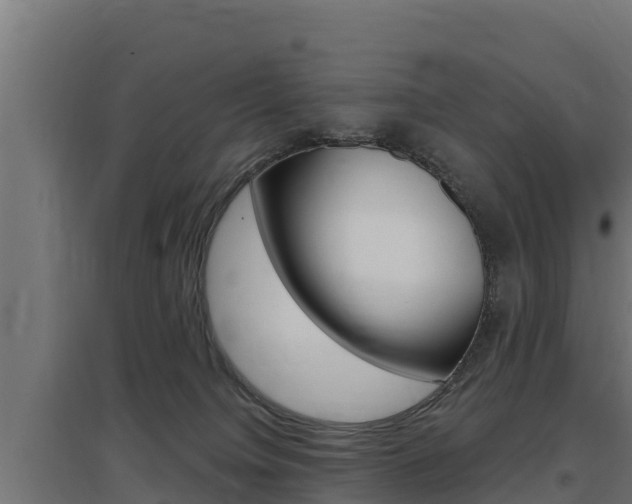X0000097670084200802290956