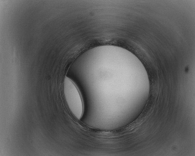 X0000097670085200802290956
