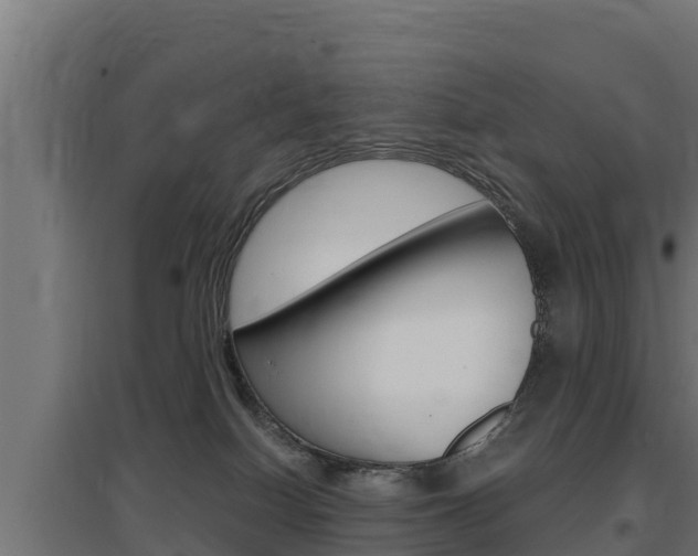 X0000097670086200802290956