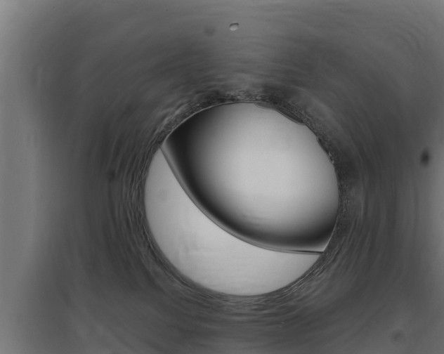 X0000097670088200802290956