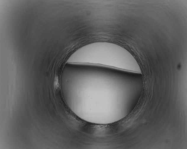 X0000097670089200802290956