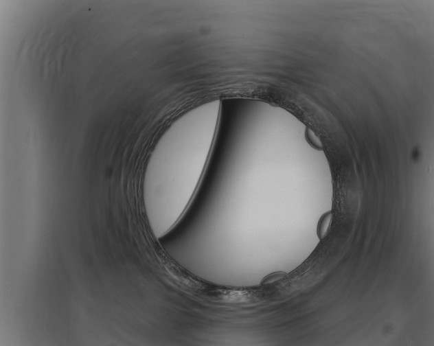 X0000097670091200802290956