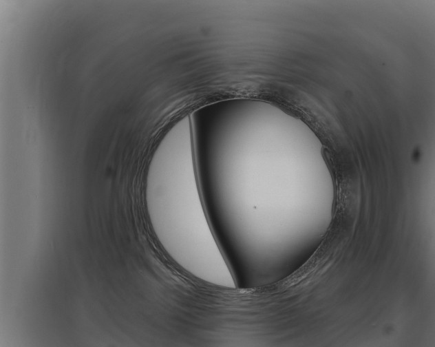 X0000097670092200802290956