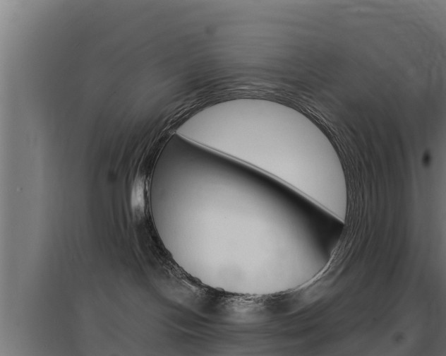 X0000097670094200802290956