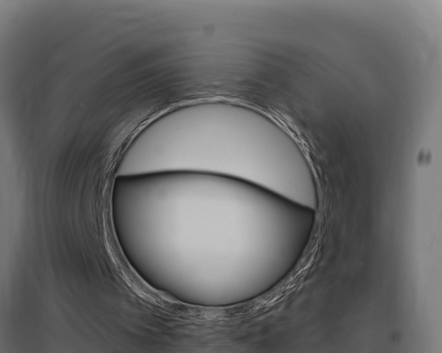 X0000097670097200802290955