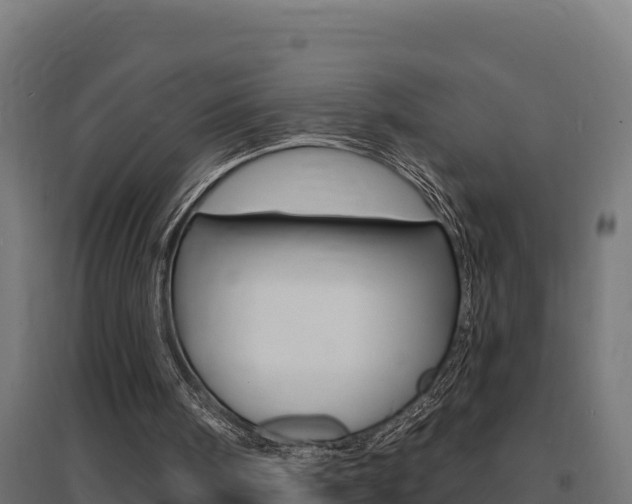 X0000097670098200802290955