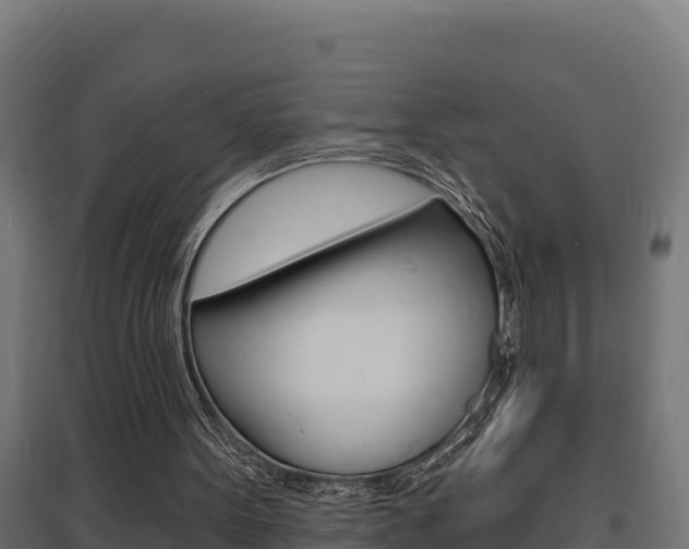 X0000097670099200802290955