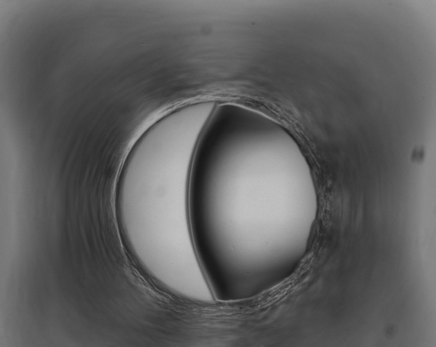 X0000097670100200802290955