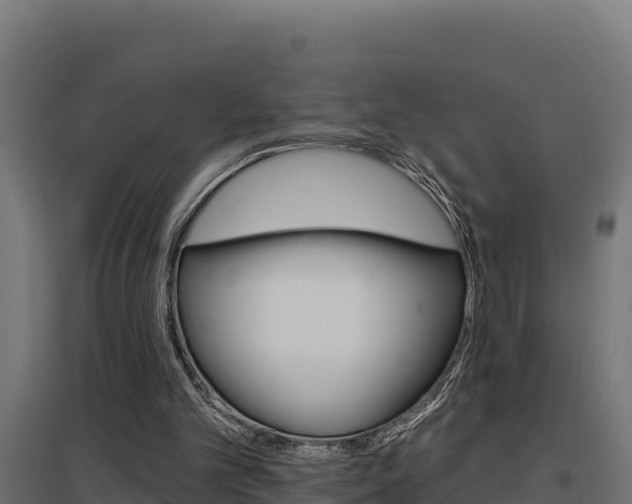 X0000097670101200802290955