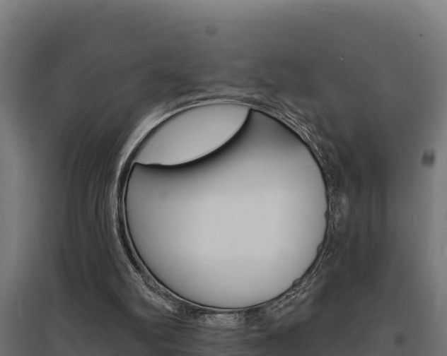 X0000097670102200802290955