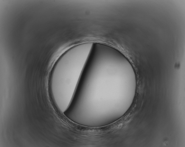 X0000097670103200802290955