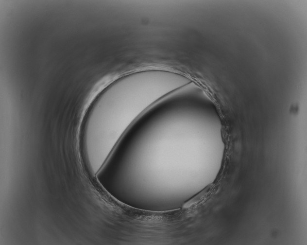 X0000097670104200802290955