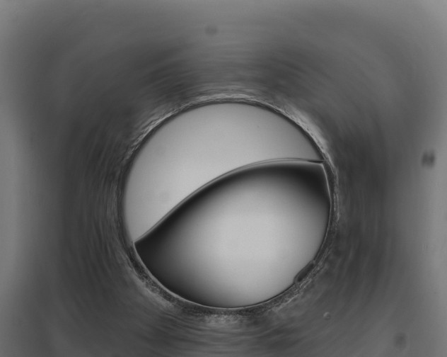 X0000097670105200802290955