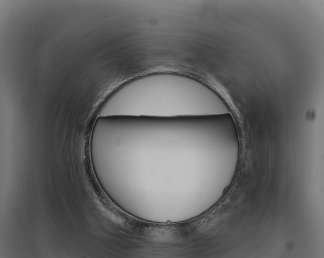 X0000097670106200802290955