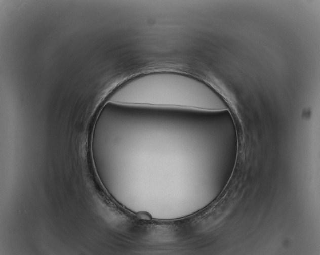 X0000097670107200802290955
