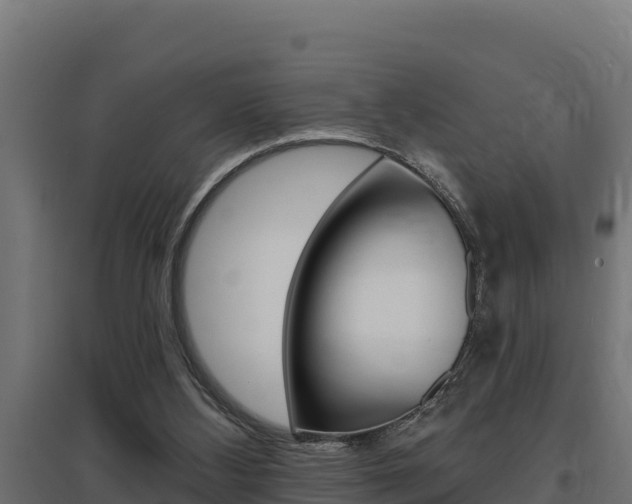 X0000097670108200802290955