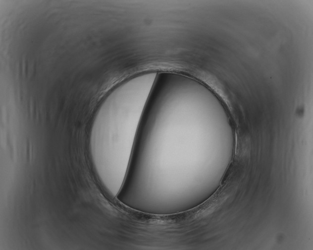 X0000097670109200802290955