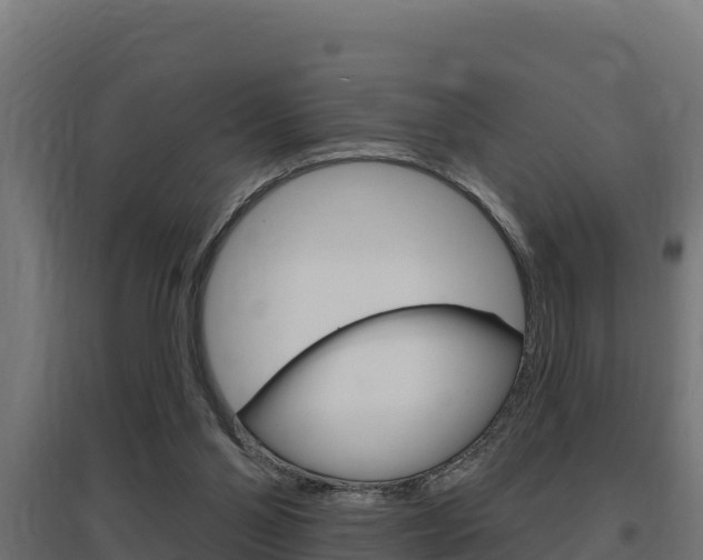 X0000097670110200802290955