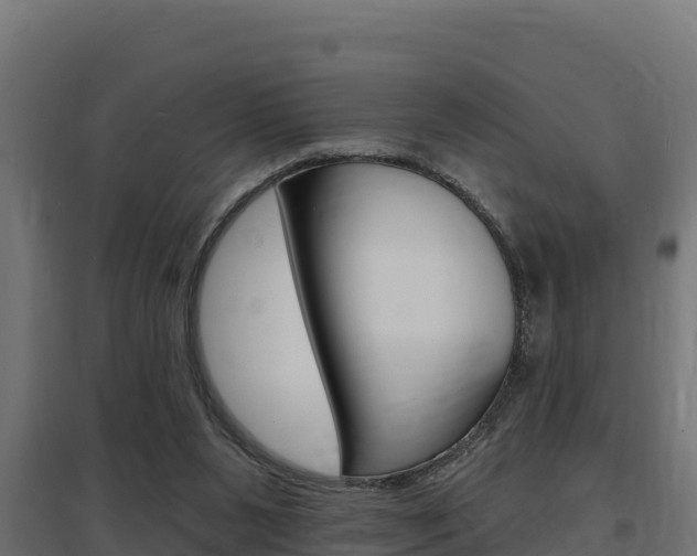 X0000097670111200802290955