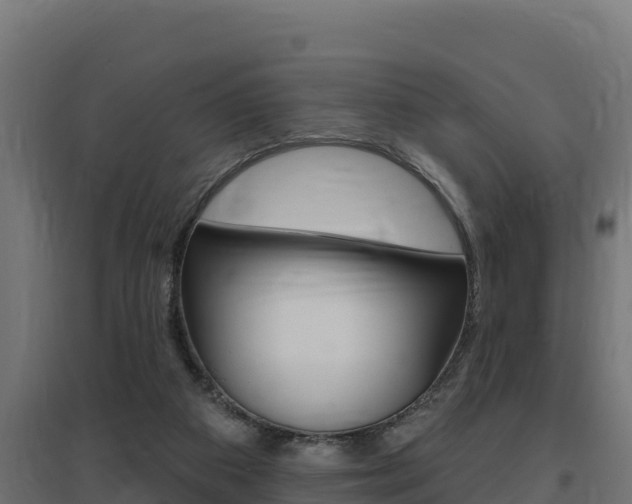 X0000097670113200802290955