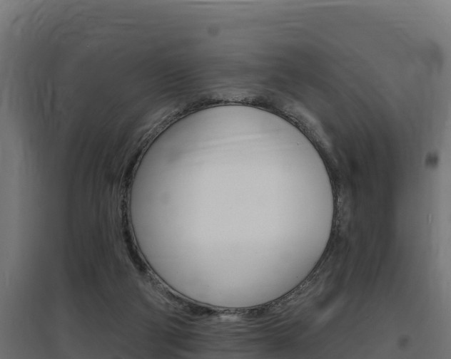 X0000097670114200802290955