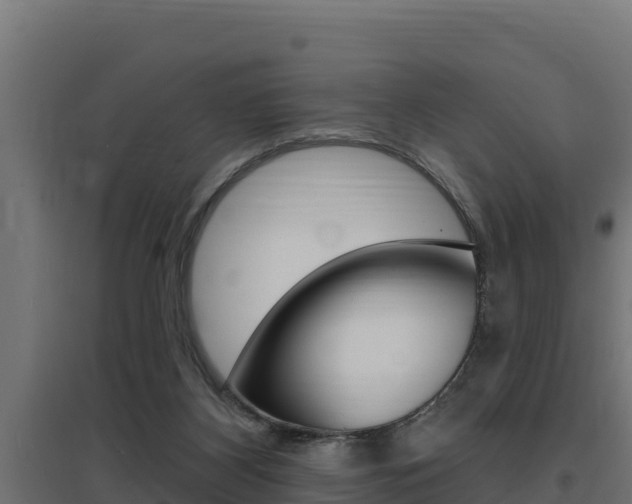 X0000097670116200802290955