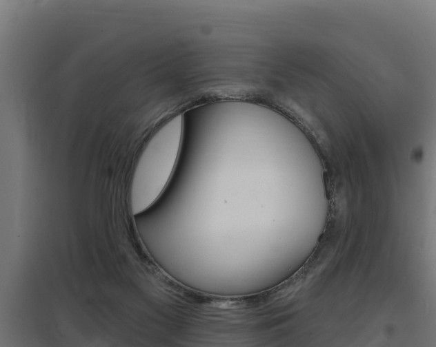 X0000097670117200802290955