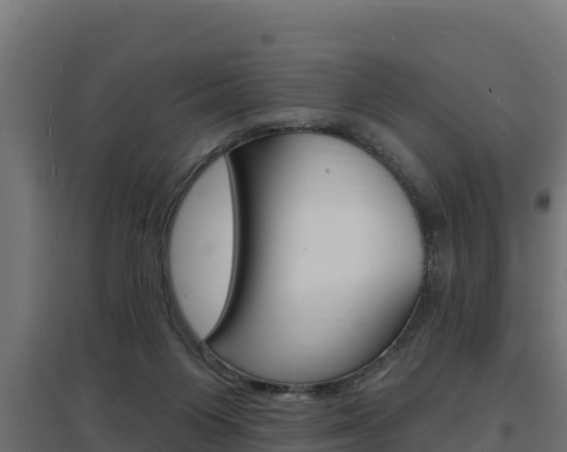 X0000097670119200802290955