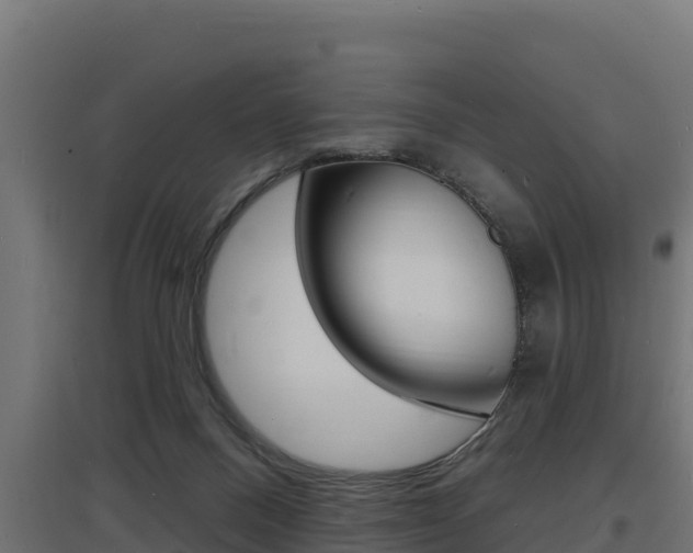 X0000097670120200802290955