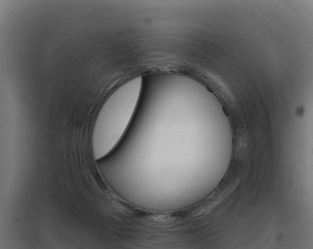 X0000097670121200802290955